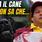 Renato Pozzetto tra cani feroci e WC distrutti: la consegna si trasforma in un disastro! “Grandi magazzini”